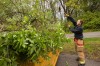 Valparaiso pushes back against invasive plants
