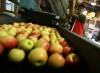 At the core, local fruit growers not worried