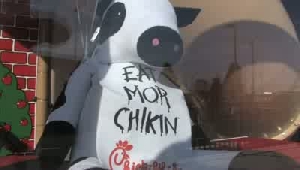 VIDEO: Dozens wait for Chick-fil-A opening