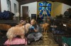 Consider all options on animal shelter