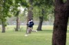 Hammond looks to 'wow' with Harrison Park improvements