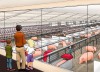 Fair Oaks pig adventure