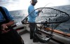 Break Time crew wins Coho Classic in Michigan City