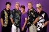 'Harbor Lights' to perform for the Midwest Corvette-Chevy Show August 14 