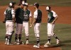 RailCats take on the T-Bones