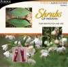 Hedge fun: Purdue CD lists more than 100 of Indiana's native shrubs