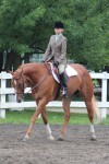 Young equestrian takes top prizes