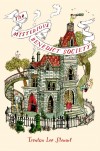 A Mysterious Novel