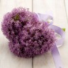 This Year’s Hot Color: Purple
