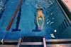 First Calumet Alumni Swim Invite to help raise funds and memories