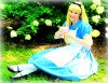 Join Alice for 'Tea in Wonderland'
