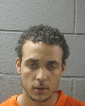 Charges filed in south suburban dogfighting ring