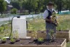 Urban garden taking root in Gary
