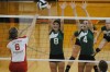 Girls Volleyball LaPorte Sectionals