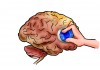 Using your 'other' hand benefits your brain