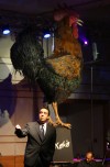 VU grad previews late-night challenge to TV talk show icons
