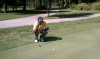 2011_12_TFN_GLF_Minefee1.jpg