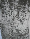 Henry W. Wise, 1840-1917