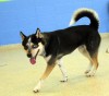 Pet of the week: Bartholomew 