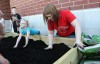 PNC early childhood education students get real-life experience