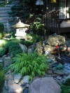 A walk in the garden