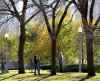 Grant Park 2