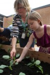 Garden a place for Valpo students to learn and grow