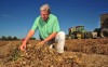 Amid bumper crop, families could get PB&J break
