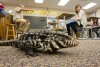 Students look toward their futures