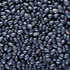 Beans for the bowl