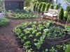 Fernwood Symposium: Growing and consuming the best fruits and vegetables