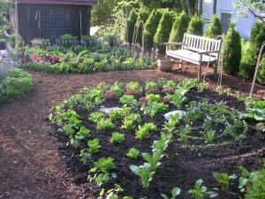 Fernwood Symposium: Growing and consuming the best fruits and vegetables