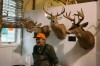 Deer hunging season kicks off