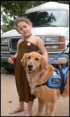 Barnabas the comfort dog