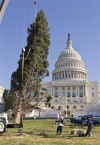 Handmade ornaments follow tree to nation's Capitol 