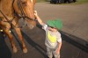 In stride: Mounted posse still a part of Porter County Fair