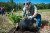Volunteers plant trees at Grand Kankakee Marsh County Park