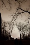Robert Frost enthusiasts venture into Hammond woods on shortest day