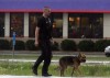 1 dead, 3 in custody after police chase in Hobart, home invasion in Porter County
