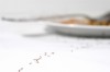 At Home: When bugs become pests