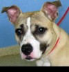 Pet of the week: Jennifrey