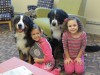 CP Library hosts Reading to the Dogs event