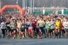 Valparaiso Turkey Trot