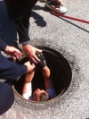 Portage employees rescue ducklings from storm drain