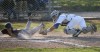 Chesterton meets Lake Central in boys baseball