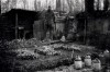 Soldiers at war turn to gardens for peace of mind  
