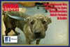 Pets of the week