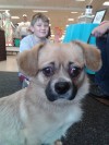 Pets of the week