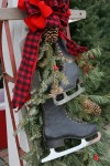 O Tannenbaum! Cut your own tree and create a memory 