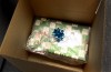 Holiday shipping, Highland Pack and Parcel